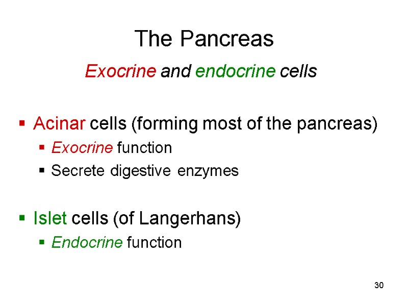 30 The Pancreas Exocrine and endocrine cells  Acinar cells (forming most of the